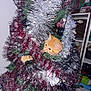 cat, celebration, christmas_tree, curious, decorations, festive, floor, greenery, holiday, home, indoor, lights, orange_cat, ornaments, paw, shelf, shiny, sparkly, tinsel, toy