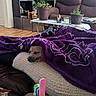Milo is registered to the contest to win money with this photo: blanket, cozy, cushion, decor, dog, furniture, houseplant, indoor, living_room, pet, plant, potted_plant, purple, relaxation, remote_control, shelf, sleeping, sofa, table, wooden_floor