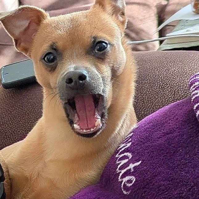Milo