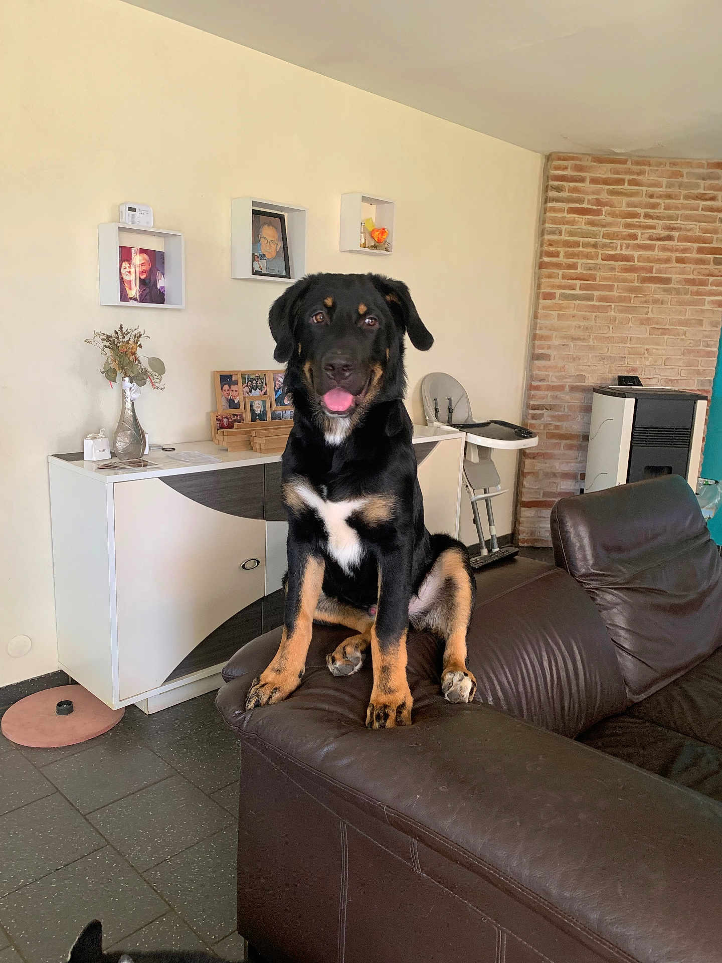 Ayko