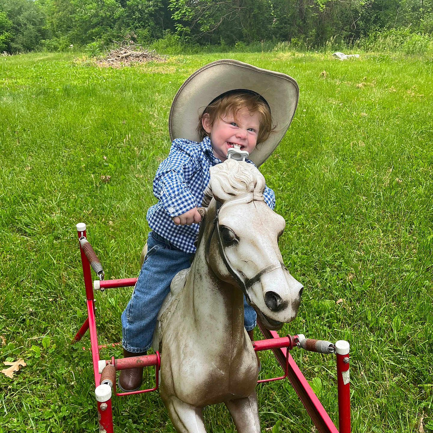 Ryker is registered to the contest to win money with this photo: boy, child, clothing, face, field, grass, grassland, hat, head, male, nature, outdoors, park, person, photography, plant, portrait, sunhat, tree, vegetation