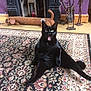animal, black_cat, carpet, cat, dachshund_shaped, decor, door_stopper, fireplace, funny_cat, funny_pose, furniture, home_interior, indoor, metal_sculpture, mouth_open, pet, purple_wall, rug, sitting, wood_floor