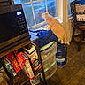 cat, orange_cat, window, rain, water_jug, microwave, cereal_boxes, plastic_drawer, kitchen, indoor, wood_floor, chair, table, food, curious, pet, furniture, daylight, home, rainy_weather