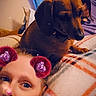 Bailey is registered to the contest to win money with this photo: woman, dog, indoor, blanket, filter, face, pet, purple_clothing, blue_curtain, brown_dog, lying_down, cozy, casual, headwear, decor, relaxed, portrait, home, animal, cute