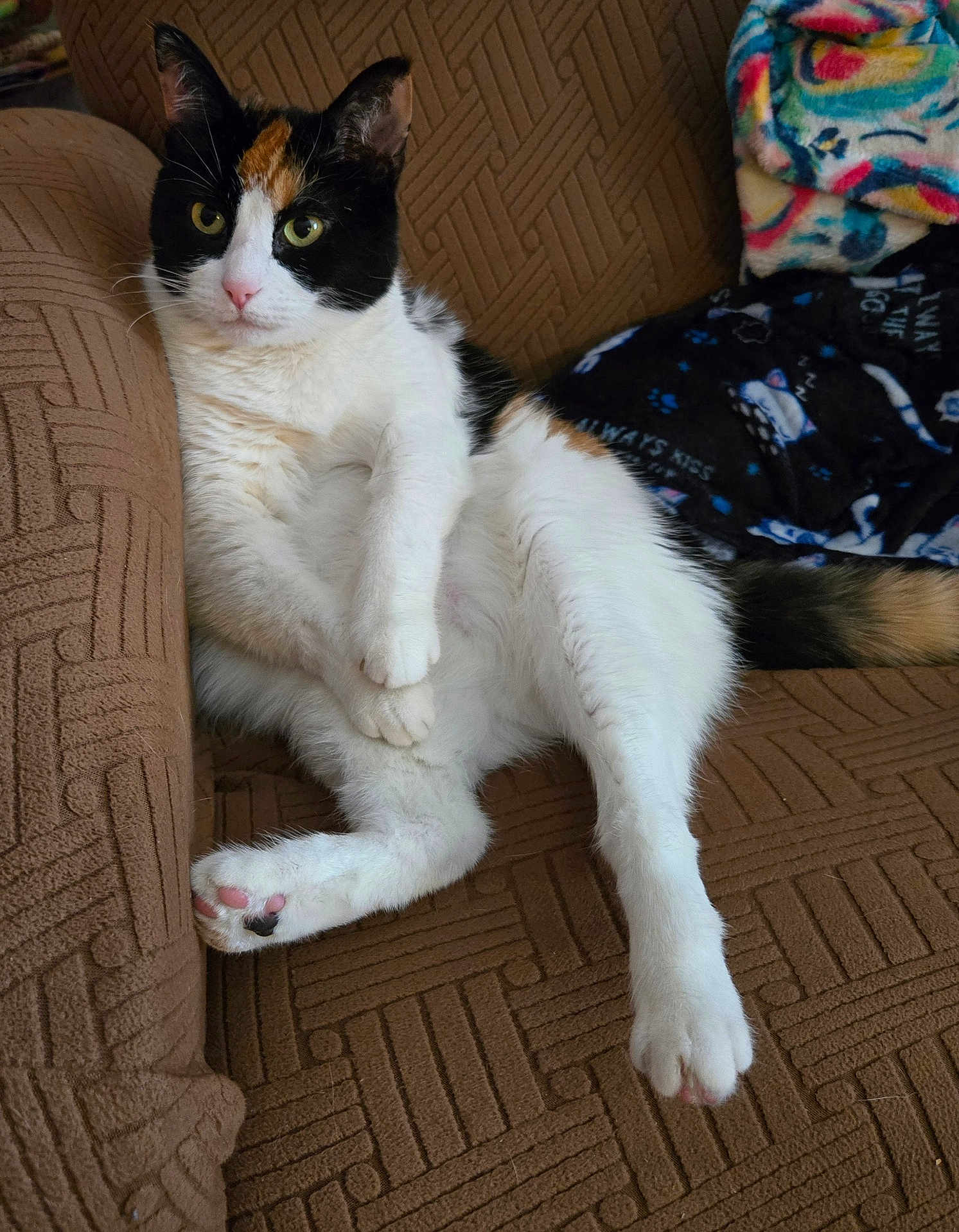 Cocobean