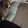 dog, brown_dog, checkered_cushion, carpet, indoor, pet, resting, sleepy, canine, floor, living_room, relaxed, paw, snout, domestic_animal, furniture_leg, blanket, household, cozy, laying_down