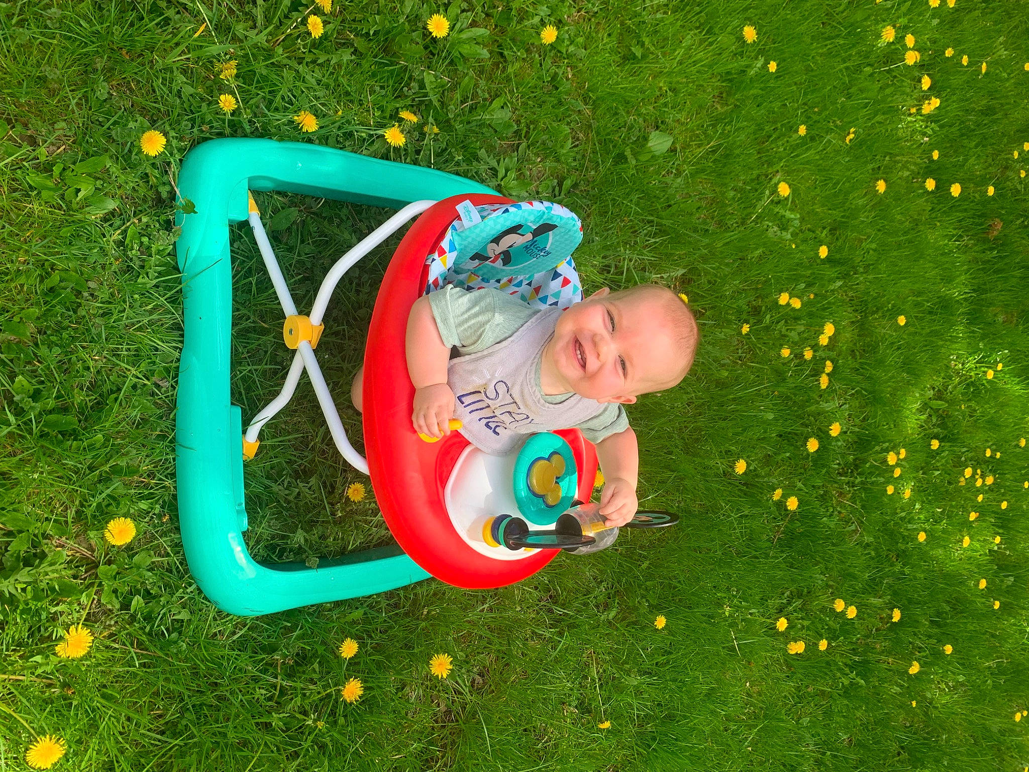 Dawson is registered to the contest to win money with this photo: baby, baby_toddler_clothing, child, electric_blue, fun, garden, grass, grass_family, grassland, green, groundcover, happy, joy, lawn, leaf, leisure, people_in_nature, person, plant, recreation
