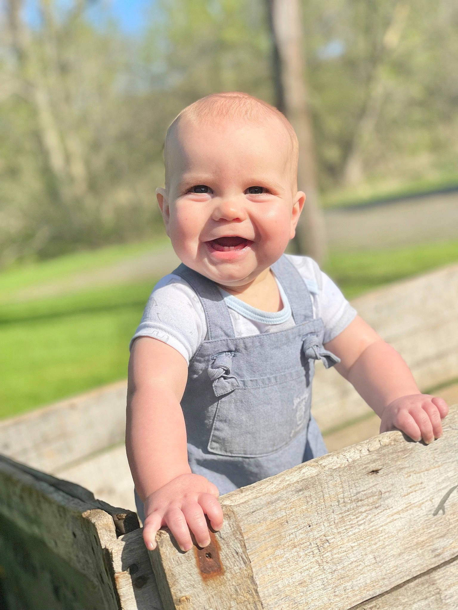 Dawson joined the competition — help win amazing prizes! baby, baby_toddler_clothing, cheek, chin, eye, facial_expression, finger, grass, happy, nose, people_in_nature, person, photograph, product, public_space, skin, sleeve, smile, standing, toddler