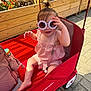 toddler, child, sunglasses, pink_outfit, wagon, red, outdoor, sunny, flowers, wooden_fence, pavement, baby, person, cute, fashion, accessory, smile, seat, play, daylight
