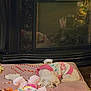 dog, sleeping, sweater, pink_cushion, toys, stuffed_animals, fireplace, indoor, wooden_floor, candy_canes, cozy, pet, resting, white_dog, colorful, knitwear, home, relaxed, cute, holiday_decor