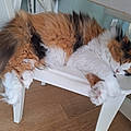 Maude M.