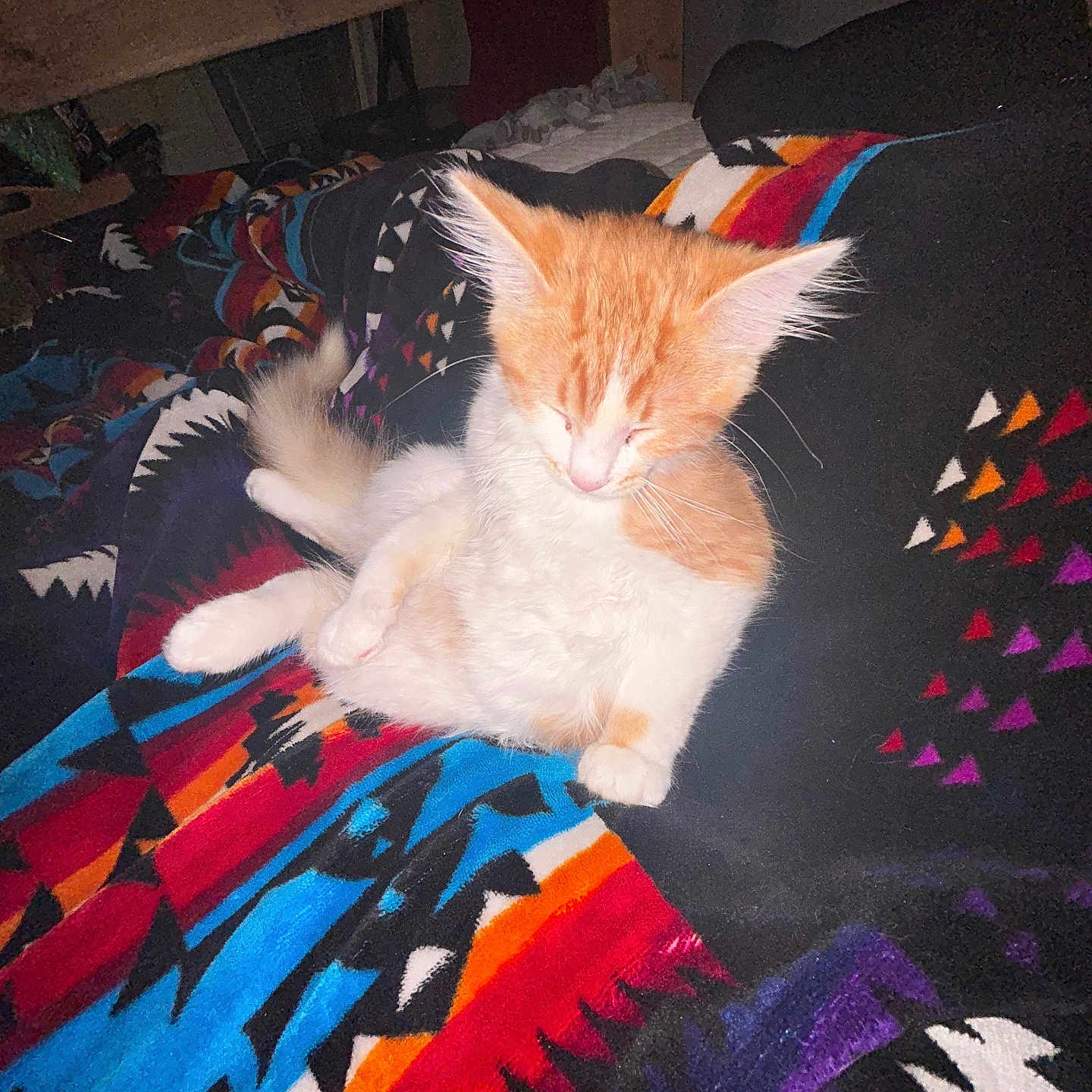 Oscar