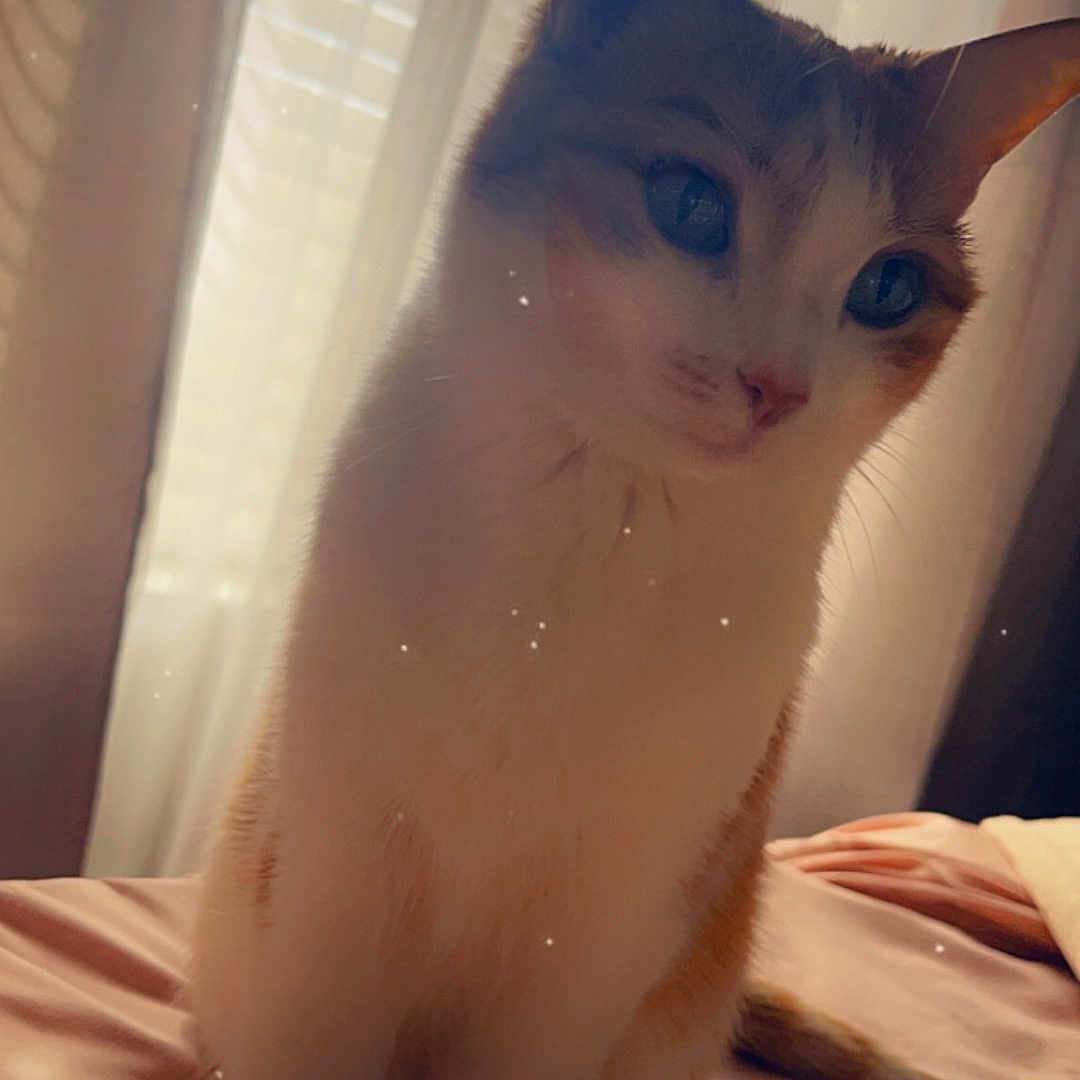 Lucy