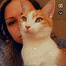 cat, orange_cat, white_cat, pet, animal, person, selfie, portrait, face, eyes, whiskers, ears, fur, indoor, closeup, smartphone, social_media, snapchat, sparkles, warm_lighting