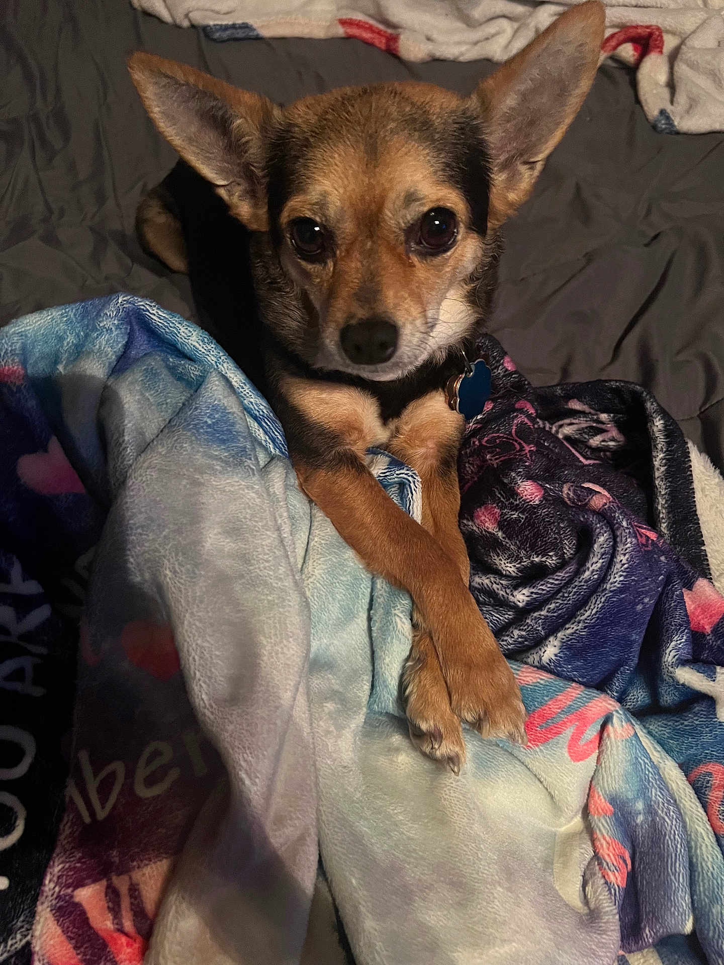 Pepper