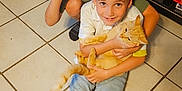 Atlas is registered to the contest to win money with this photo: child, children, cat, orange_cat, toy, blue_toy, floor_tiles, shelf, board_games, shoes, socks, smiling, happy, indoor, home, casual_clothing, person, playing, cute, pet
