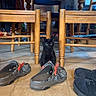 black_kitten, cat, indoor, wooden_table, wooden_chairs, shoes, floor, tile_floor, curious, pet, small, domestic, animal, furniture, home, seated, looking, quiet, cozy, daylight