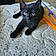 Binx