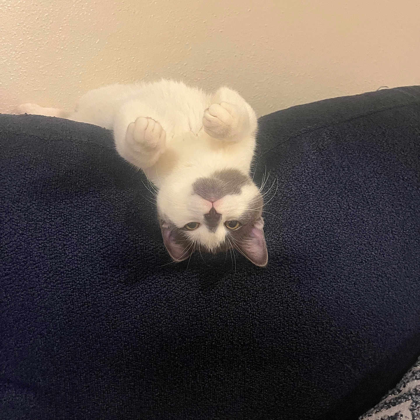 Yuki