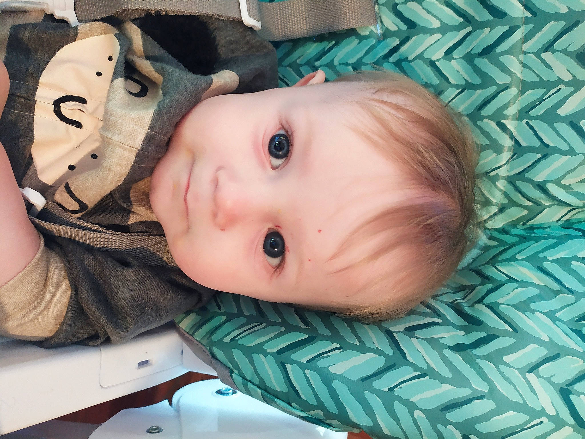 Stewart is registered to the contest to win money with this photo: baby, baby_products, cheek, child, eye, face, head, headgear, mouth, nose, person, skin, toddler