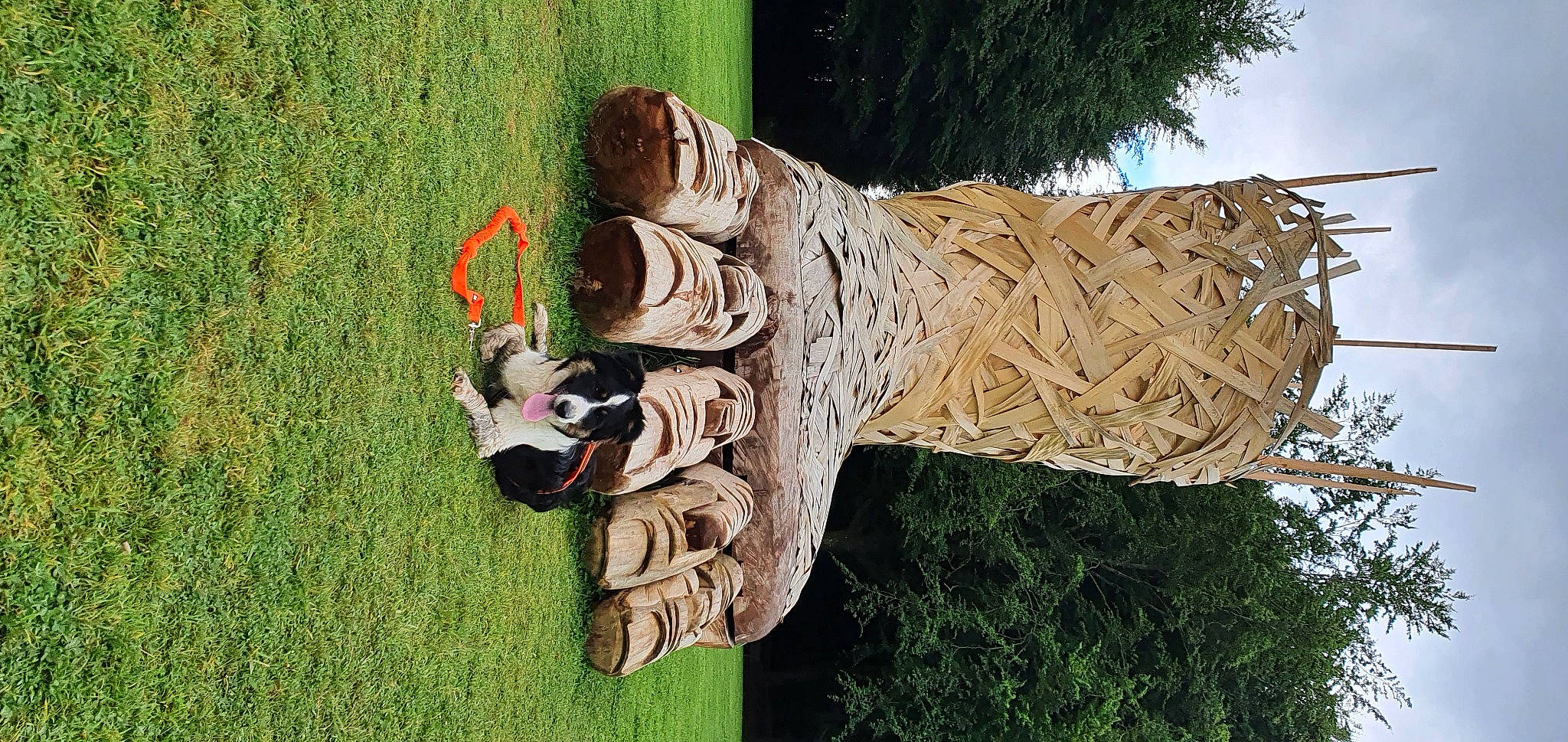 Sanga a rejoint le concours — aidez-le/la à gagner de superbes lots ! art, artifact, carving, chainsaw_carving, creative_arts, environmental_art, foot, grass, human_leg, lawn_ornament, leisure, nonbuilding_structure, plant, sculpture, sky, statue, tree, trunk, visual_arts, wood