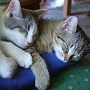 D'Jack et D'jo participe au concours pour gagner de l'argent avec cette photo :
