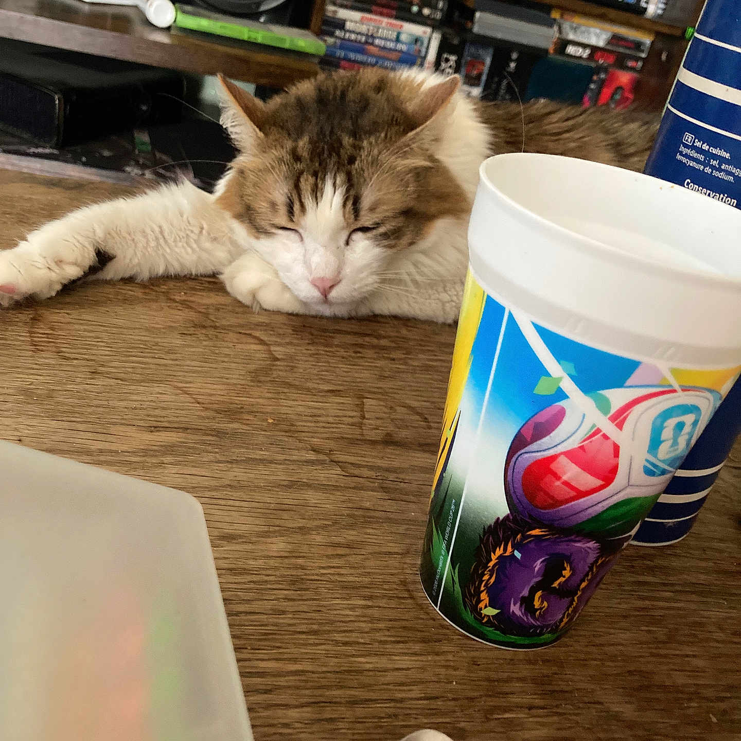 Zaza a rejoint le concours — aidez-le/la à gagner de superbes lots ! cat, sleeping, wooden_table, cup, spoon, fork, bookshelf, books, games, controller, speaker, indoor, furniture, pet, resting, closeup, domestic, cozy, blurred_background, tableware