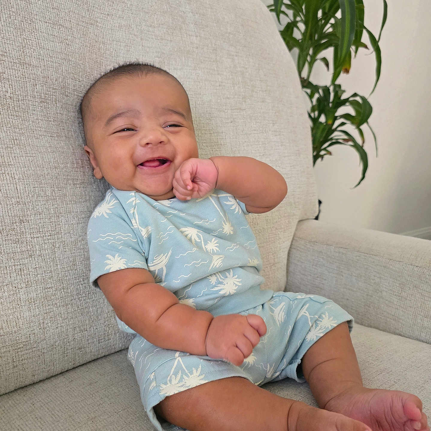 Shaurya is registered to the contest to win money with this photo: arm, baby, child, couch, cozy, cute, face, furniture, happy, head, indoor, infant, light_blue_clothing, palm_tree_pattern, plant, relaxed, sitting, skin, smiling, toes