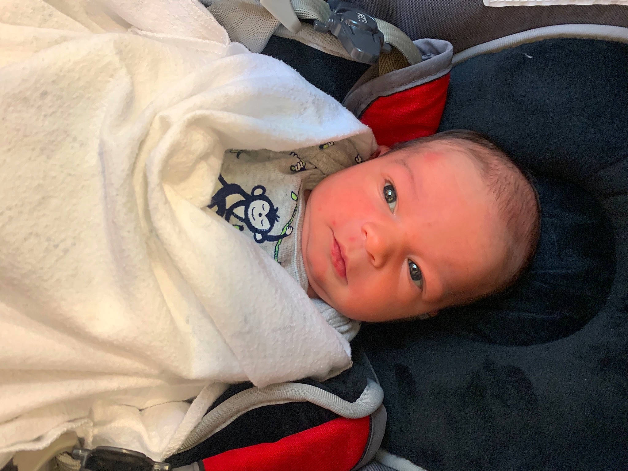 Kaidyn is registered to the contest to win money with this photo: baby, baby_carriage, baby_products, baby_safety, baby_toddler_clothing, bedtime, carmine, cheek, child, comfort, fur, linens, nap, person, room, sitting, sleep, toddler, tree, wood