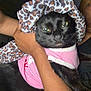 Bubbles joined the competition — help win amazing prizes! animal, black_cat, cat, closeup, clothing, cozy, cute, domestic_animal, expression, face, fur, hand, holding, hood, indoor, leopard_print, person, pet, pink, sleepwear