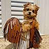puppy, dog, leather_bag, fringes, brown, white, curious, cute, pet, animal, indoor, countertop, granite, background, shutters, small_dog, fluffy, portrait, sitting, closeup