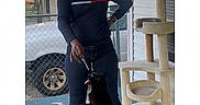 Blacasgirl is registered to the contest to win money with this photo: animal, black_cat, car, casual_clothing, cat_tree, daylight, fence, home, interaction, jeans, long_sleeve_shirt, outdoor, pet, pet_owner, playful, porch, residential, standing, toy, woman