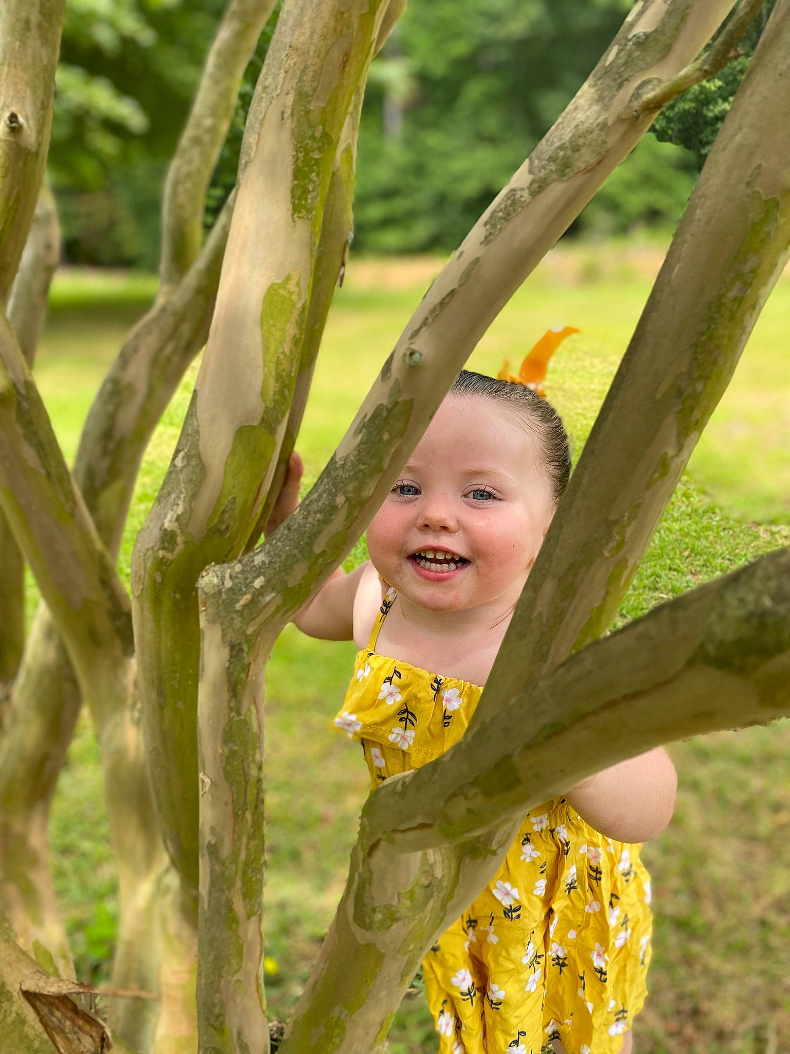 Jazmynn is registered to the contest to win money with this photo: baby, baby_laughing, baby_toddler_clothing, botany, branch, eye, gesture, grass, happy, human_body, joy, leaf, people_in_nature, person, plant, smile, sunlight, terrestrial_plant, toddler, tree