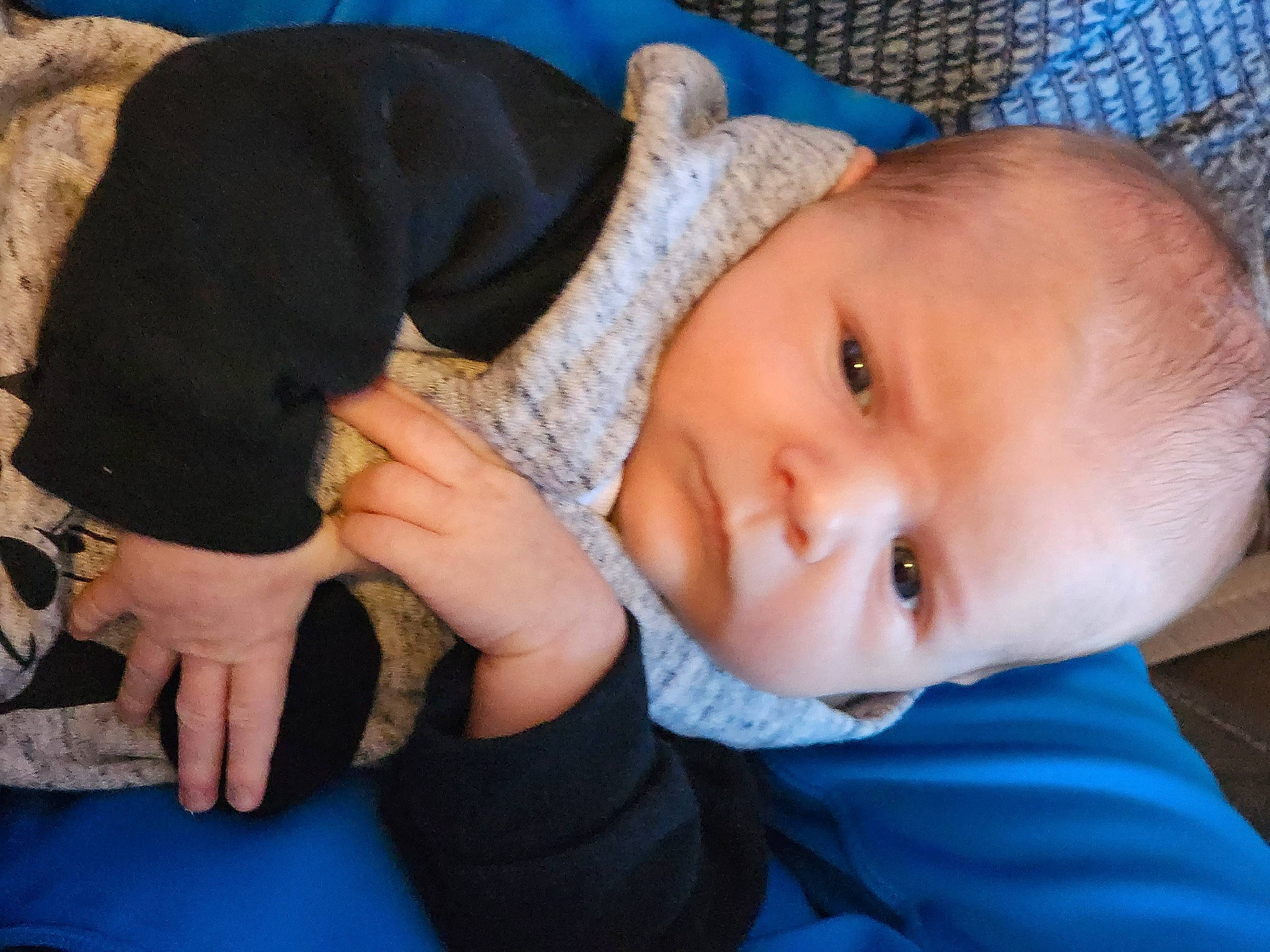 Damian joined the competition — help win amazing prizes! baby, baby_toddler_clothing, blue, cheek, child, comfort, electric_blue, facial_expression, gesture, grass, iris, mammal, mouth, nail, nose, person, sitting, skin, toddler, vertebrate