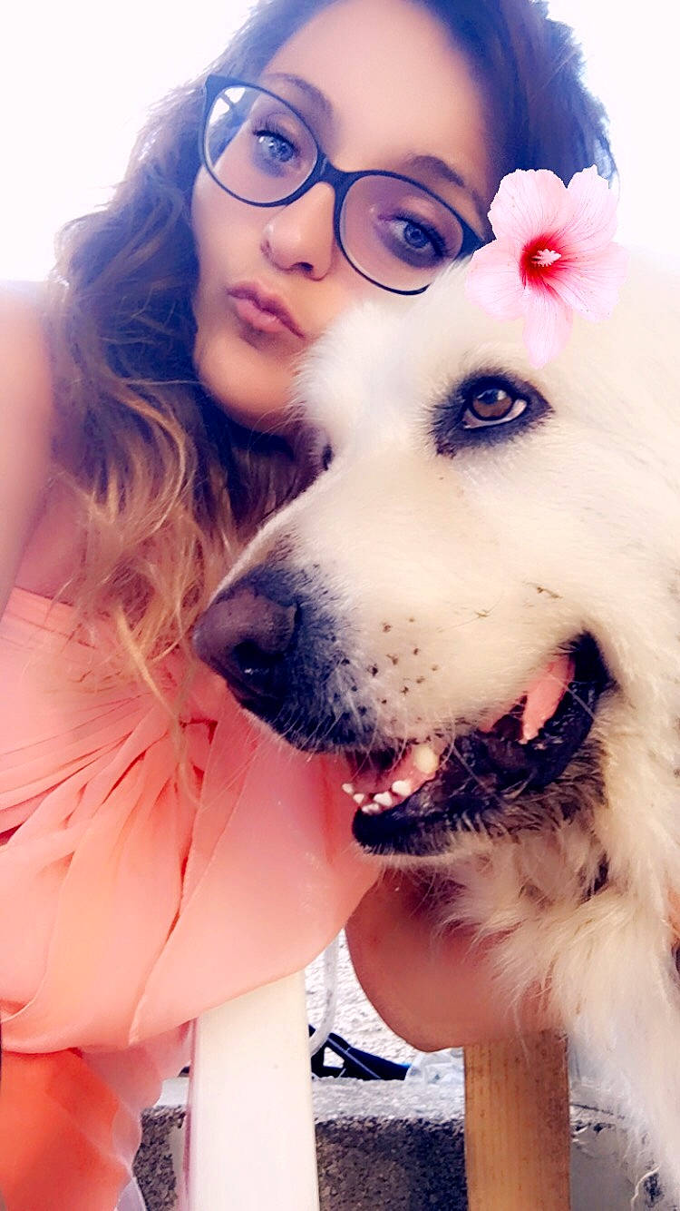 Milou ? participe au concours pour gagner de l'argent avec cette photo : carnivore, companion_dog, cool, dog, dog_breed, ear, eyelash, face, fawn, gesture, happy, jaw, lip, mouth, nose, photograph, pink, skin, smile, vision_care