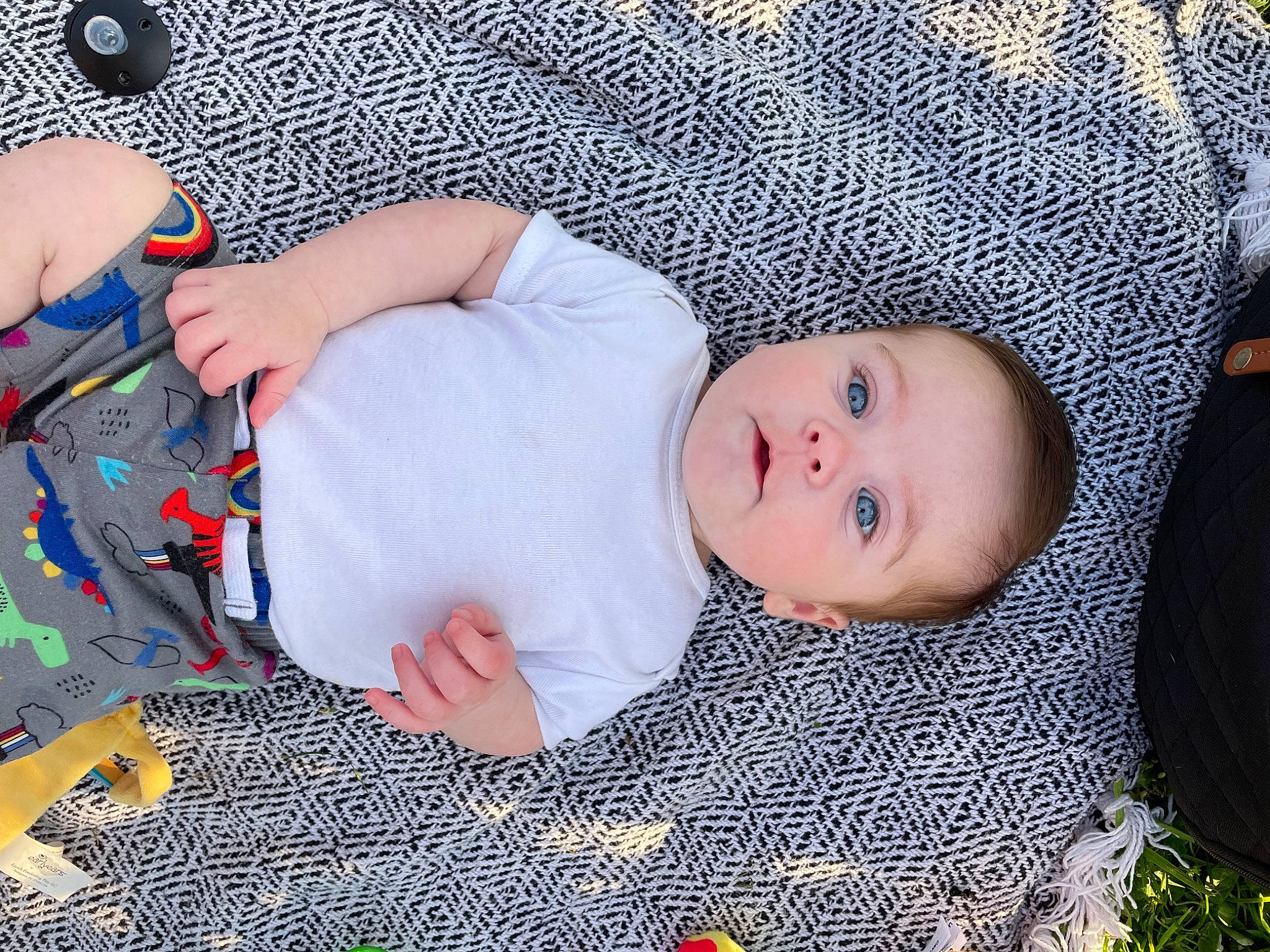 Kolson joined the competition — help win amazing prizes! baby, baby_toddler_clothing, beauty, cheek, child, comfort, eye, face, head, human_body, iris, leg, mammal, pattern, people, person, product, skin, textile, toddler