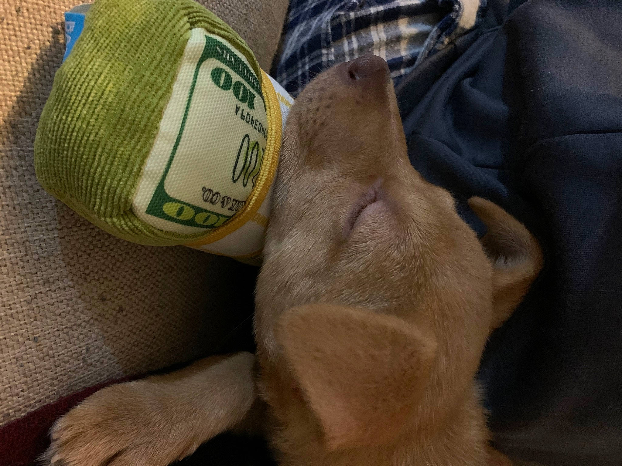 Harper is registered to the contest to win money with this photo: cap, comfort, elbow, fashion_accessory, fiber, finger, foot, gesture, human_leg, knee, nail, personal_protective_equipment, thread, thumb, toe, vein, wool, woolen, wrinkle, wrist