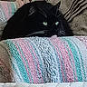cat, black_cat, green_eyes, blanket, knitted_blanket, cozy, indoor, resting, pet, feline, soft_texture, striped_blanket, close_up, cute, animal, comfort, home, relaxing, curious, fur