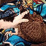 animal, black_and_white_cat, blanket, cat, cats, comfort, companionship, cozy, cute, domestic_animal, friendship, fur, indoors, pets, resting, sleeping, snuggling, soft, tabby_cat, warm