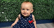 Jessie is registered to the contest to win money with this photo: baby, child, polka_dot_dress, blue_dress, red_bow, smiling, sitting, floor, wooden_floor, greenery, leaves, background, indoors, infant, cute, portrait, happy, person, face, eyes