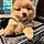 Winnie