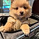 Winnie
