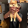 Winnie is registered to the contest to win money with this photo: puppy, dog, person, smile, indoor, furniture, cabinet, stuffed_animal, wooden_floor, hand, pet, cute, young_adult, black_tshirt, holding, happy, room, home, portrait, fur