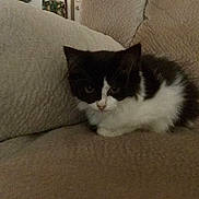 Precious is registered to the contest to win money with this photo: