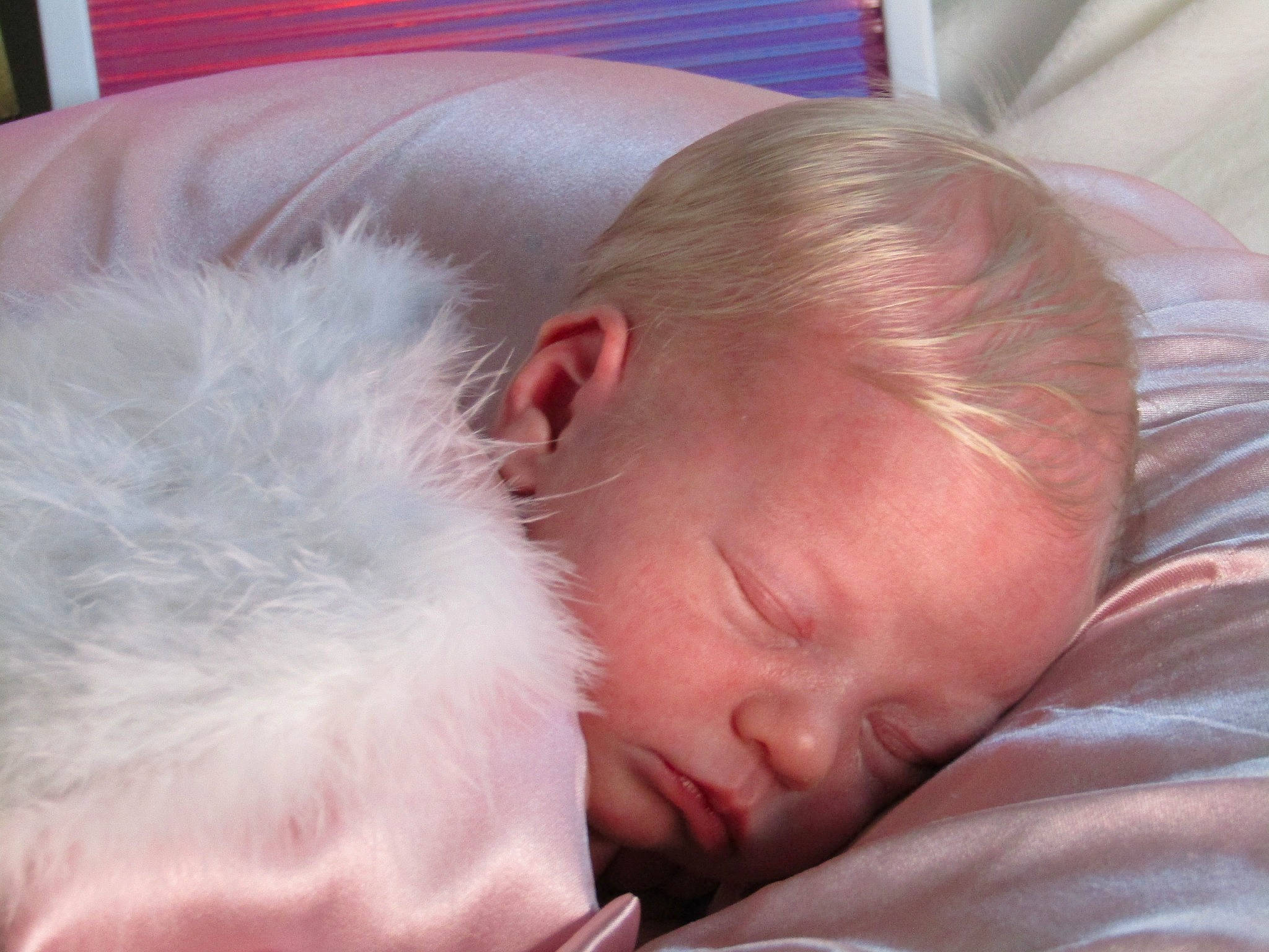 Chevelle joined the competition — help win amazing prizes! baby, baby_sleeping, bedtime, cheek, child, comfort, ear, eye, eyelash, flesh, fur, happy, head, iris, linens, nap, nose, person, sleep, toddler