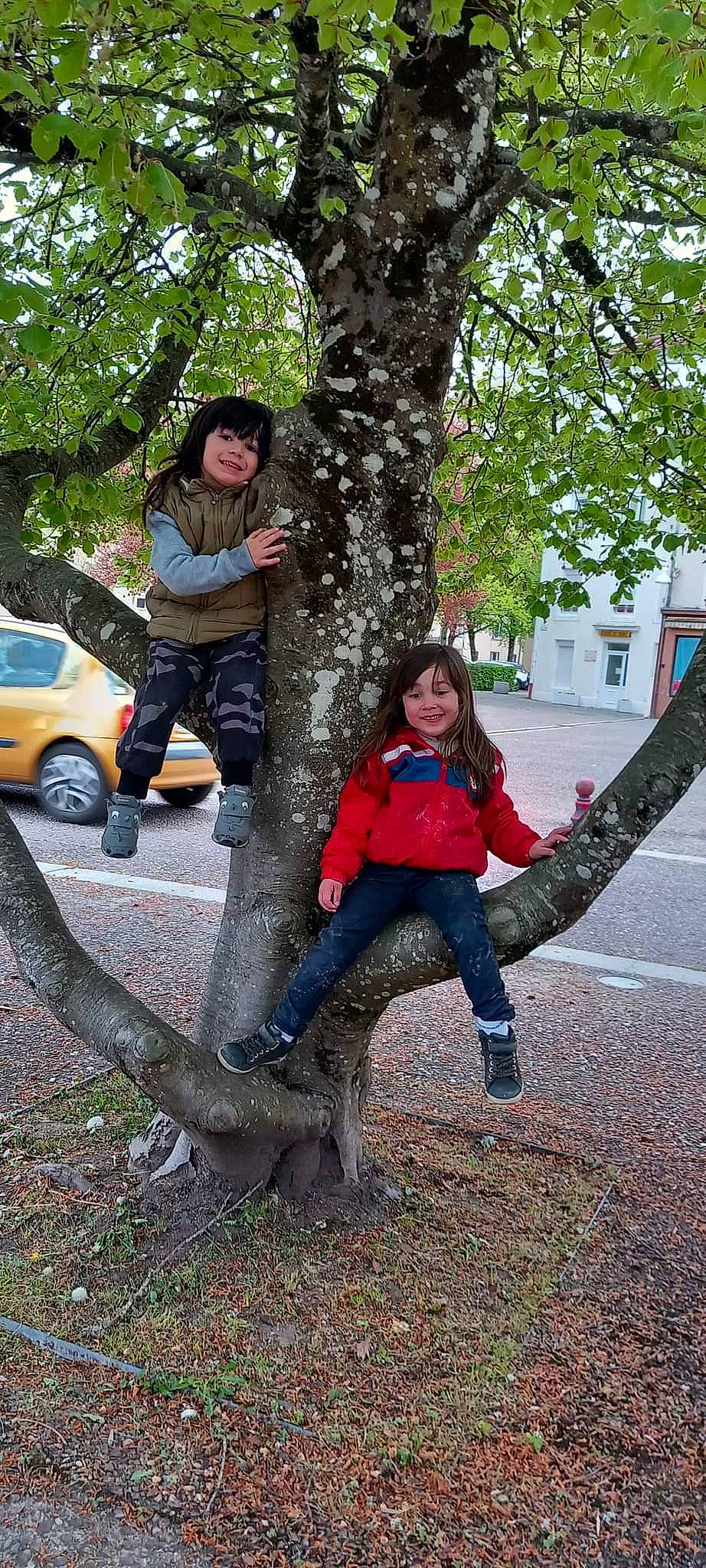 Lynaia a rejoint le concours — aidez-le/la à gagner de superbes lots ! car, denim, grass, jacket, jeans, joy, leg, leisure, people_in_nature, person, plant, public_space, recreation, shoe, smile, tire, tree, trunk, vehicle, wheel