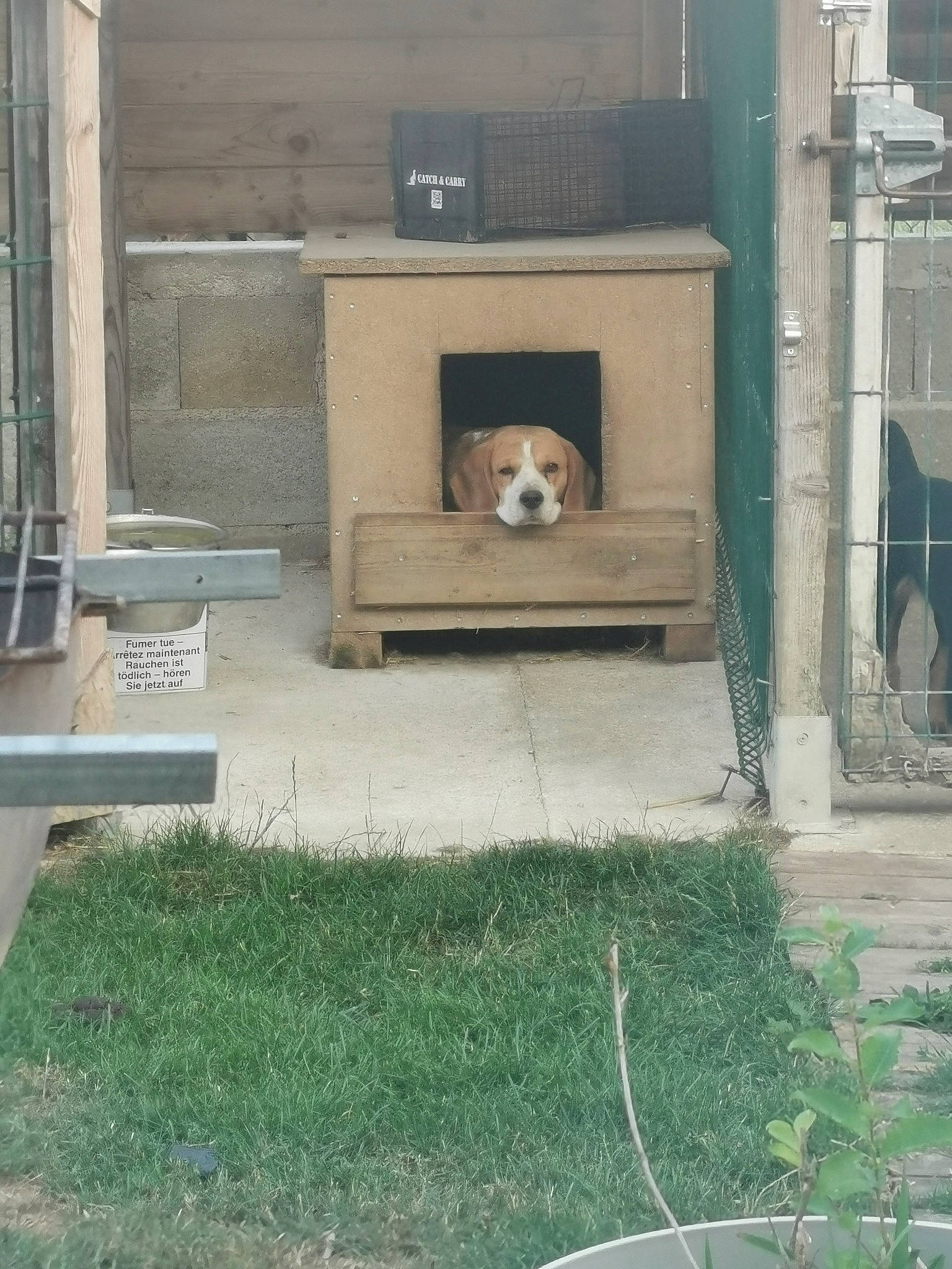 Ina participe au concours pour gagner de l'argent avec cette photo : backyard