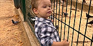 Tobias participe au concours pour gagner de l'argent avec cette photo : child, toddler, plaid_shirt, jeans, fence, pigeons, sand, park, trees, adults, stroller, outdoor, curious, casual_clothing, daylight, nature, footwear, person, animal, wire_fence