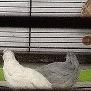 Neige participe au concours pour gagner de l'argent avec cette photo :