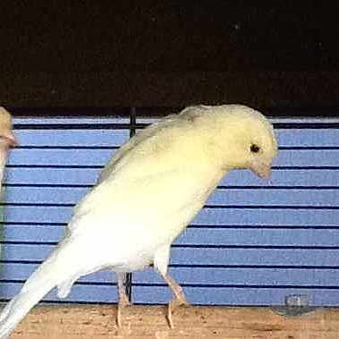 Coco a rejoint le concours — aidez-le/la à gagner de superbes lots !